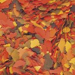 Tropical Supervit 500 ml – Zboží Dáma