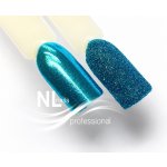NL nails professional GLITTER POWDER 3g – Hledejceny.cz