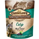 Carnilove Paté Carp with Black Carrot 300 g – Zboží Mobilmania