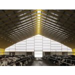 Stabilit Suisse Pamalite flat 4WQ 40 mm x 528 mm x 6000 mm UV čirá