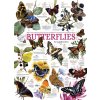 Puzzle Cobble Hill Sbírka motýlů 1000 dílků