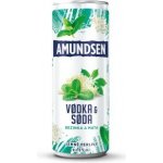 Amundsen + Soda bezinka 6% 0,25 l (plech) – Sleviste.cz