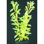 Hagen Hygrophila 30 cm – Hledejceny.cz