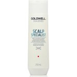 Goldwell Dualsenses Deep Cleansing Shampoo 250 ml – Hledejceny.cz