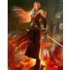 Hra na Nintendo Switch Super Smash Bros. Ultimate Challenger Pack 8 Sephiroth