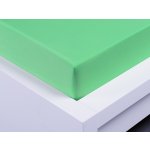 Xpose Jersey Prostěradlo Exclusive letní zelená 90x200 – Hledejceny.cz