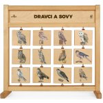 Lesní svět Tabulky poznání stolní Dravci a sovy – Hledejceny.cz