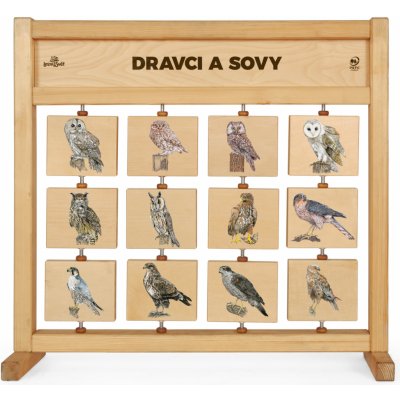 Lesní svět Tabulky poznání stolní Dravci a sovy – Hledejceny.cz