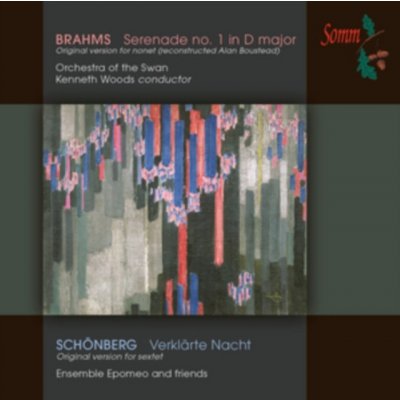 Schonberg/Brahms: Orchestral Works CD – Hledejceny.cz