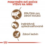 Royal Canin Ageing 12+ Jelly 85 g – Sleviste.cz