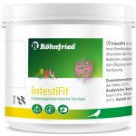 Röhnfried IntestiFit 125 g – Hledejceny.cz