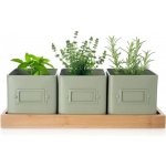 Květináč bylinky GREENISH 11,5x11,5 cm 3 ks+podtácek – Hledejceny.cz