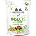 Brit Care Dog Crunchy Cracker Insects with Rabbit enriched with Fennel 200 g – Sleviste.cz