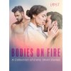 Elektronická kniha Bodies on Fire: A Collection of Erotic Short Stories - LUST authors