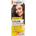 Pallete Color Shampoo středně hnědý 221 – Sleviste.cz