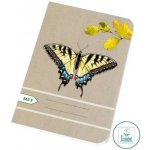 Papírny Brno školní sešit EKO 565 A5 čtverečkovaný – Sleviste.cz