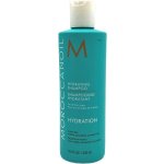 Moroccanoil Hydrating Shampoo 250 ml – Sleviste.cz