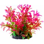 JK ANIMALS Ludwigia růžová 10 cm – Zboží Mobilmania