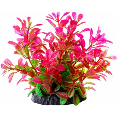 JK ANIMALS Ludwigia růžová 10 cm – Zboží Mobilmania
