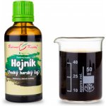 Bylinné kapky Hojník řecký horský čaj tinktura 50 ml – Hledejceny.cz