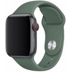 Coteetci silikonový sportovní náramek pro Apple watch 38 / 40 mm jehličnatá zelená CS2085-GN – Zboží Mobilmania