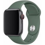 Coteetci silikonový sportovní náramek pro Apple watch 38 / 40 mm jehličnatá zelená CS2085-GN – Hledejceny.cz