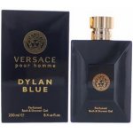 Versace Pour Homme Dylan Blue sprchový gel 250 ml – Hledejceny.cz