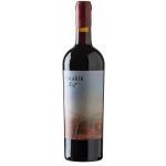 Vinařství Volařík Turold Cabernet Sauvignon výběr z hroznů suché červené 2022 14% 0,75 l (holá láhev) – Hledejceny.cz