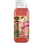 Ugo Kombucha Yerba maté s malinou 250 ml – Zboží Mobilmania
