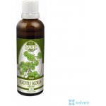 Gotu Kola Brahmí 50 ml – Hledejceny.cz