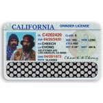 V-Syndicate drtička tabáku kreditní karta – Zboží Dáma