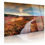 Skleněný obraz - Podzimní cesta krajinou, jednodílný 70x50 cm na skle – Hledejceny.cz