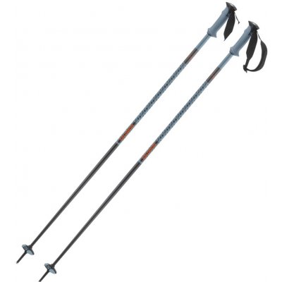 Salomon Polar Pro 2024/25 – Zboží Mobilmania