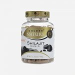 Golden Natur Shilajit PrimaVie 50% kyseliny fulvové 100 kapslí – Hledejceny.cz