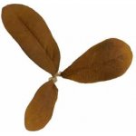 Novritsch LEAF CAMO 3D listy LC2, 50 ks Peat – Zboží Dáma