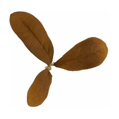 Novritsch LEAF CAMO 3D listy LC2, 50 ks Peat – Zboží Dáma