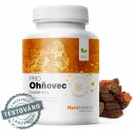 Mycomedica Ohňovec PRO 2 x 90 kapslí – Hledejceny.cz