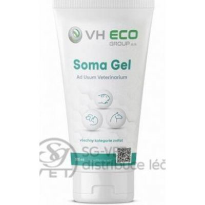 VH Eco Soma Gel tuba 100 ml – Hledejceny.cz