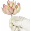 Květina Umělá rostlina Lotus Echeveria 10 cm