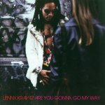 Lenny Kravitz - ARE YOU GONNA GO MY WAY LP – Hledejceny.cz