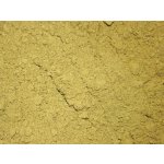 Les fruits du paradis Dýňový protein BIO 25000 g – Sleviste.cz