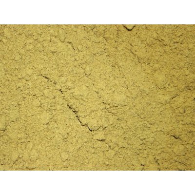 Les fruits du paradis Dýňový protein BIO 25000 g – Sleviste.cz