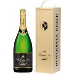 Bohemia Sekt Demi Sec 11% 3 l (dřevěná kazeta) – Zboží Dáma