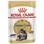 Royal Canin Maine Coon gravy 85 g – Sleviste.cz