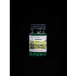 Swanson Pycnogenol 50 mg 50 kapslí – Hledejceny.cz