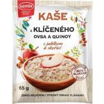 Semix Kaše z klíčeného ovsa a quinoy S jablkem a skořicí bez lepku 65 g – Hledejceny.cz