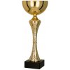 Pohár a trofej Kovový pohár Zlatý 24,5 cm 8 cm