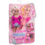 Mattel Barbie Dream Besties Malibu HYC21 – Zbozi.Blesk.cz
