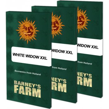Barney's Farm White Widow XXL semena neobsahují THC 3 ks