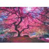 Puzzle AnaTolian Růžový strom 1000 dílků